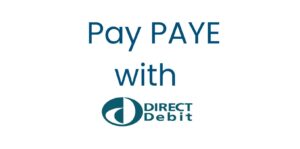 Sleek Modern Fact Card on PAYE Introduction (10)